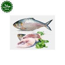 00112.-3-fish-hilsha-1kgjpg.jpg