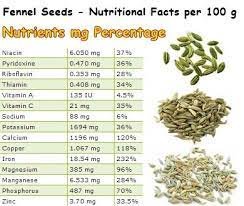 00360-2-fennel-seed-EUSA-100g.jpg